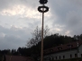 Maibaum 2019