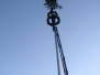 Maibaum 2007