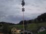 Maibaum 2010