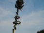 Maibaum 2011